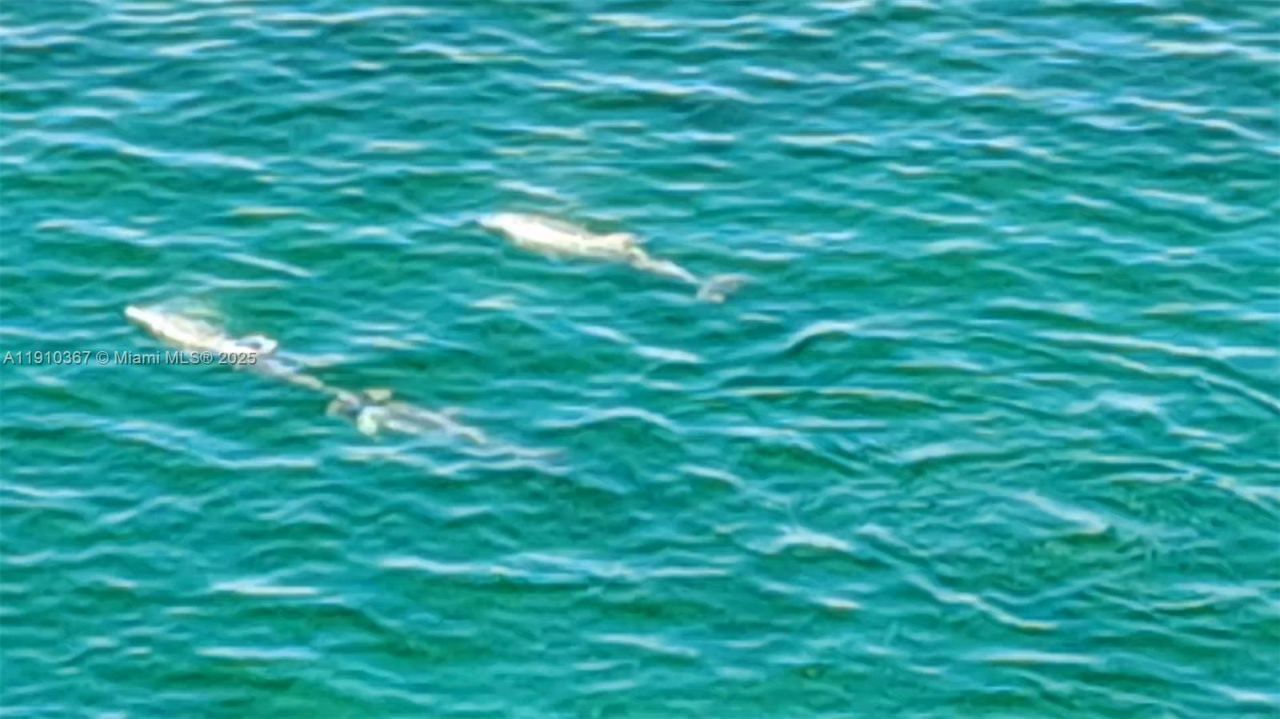 1625 Kennedy Cswy, Unit 1103B, North Bay Village, FL 33141 Photo