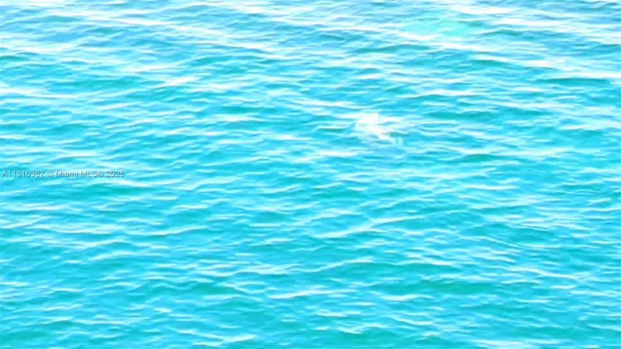 1625 Kennedy Cswy, Unit 1103B, North Bay Village, FL 33141 Photo