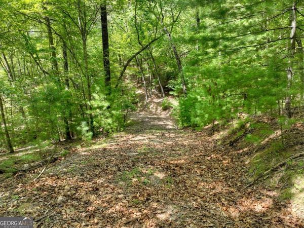 LOT 68 Riverwalk On The Toc, Unit 68, Mineral Bluff, GA 30559
