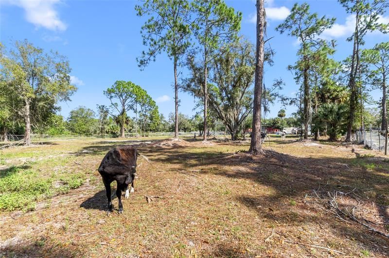 130 S Arboleda Street, Clewiston, FL 33440 Photo