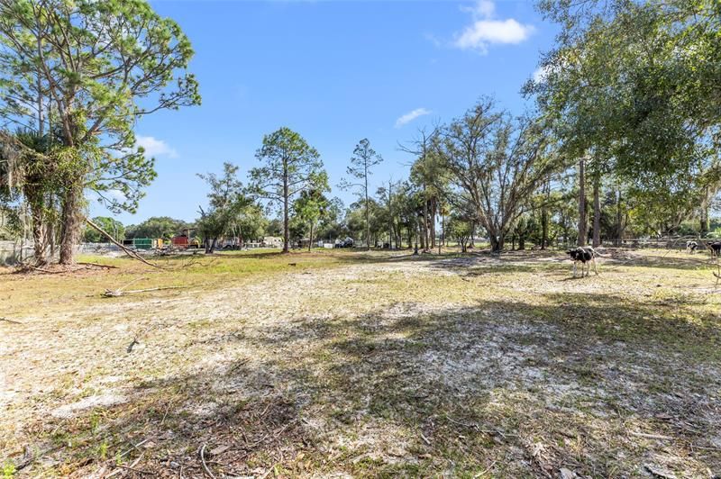 130 S Arboleda Street, Clewiston, FL 33440 Photo