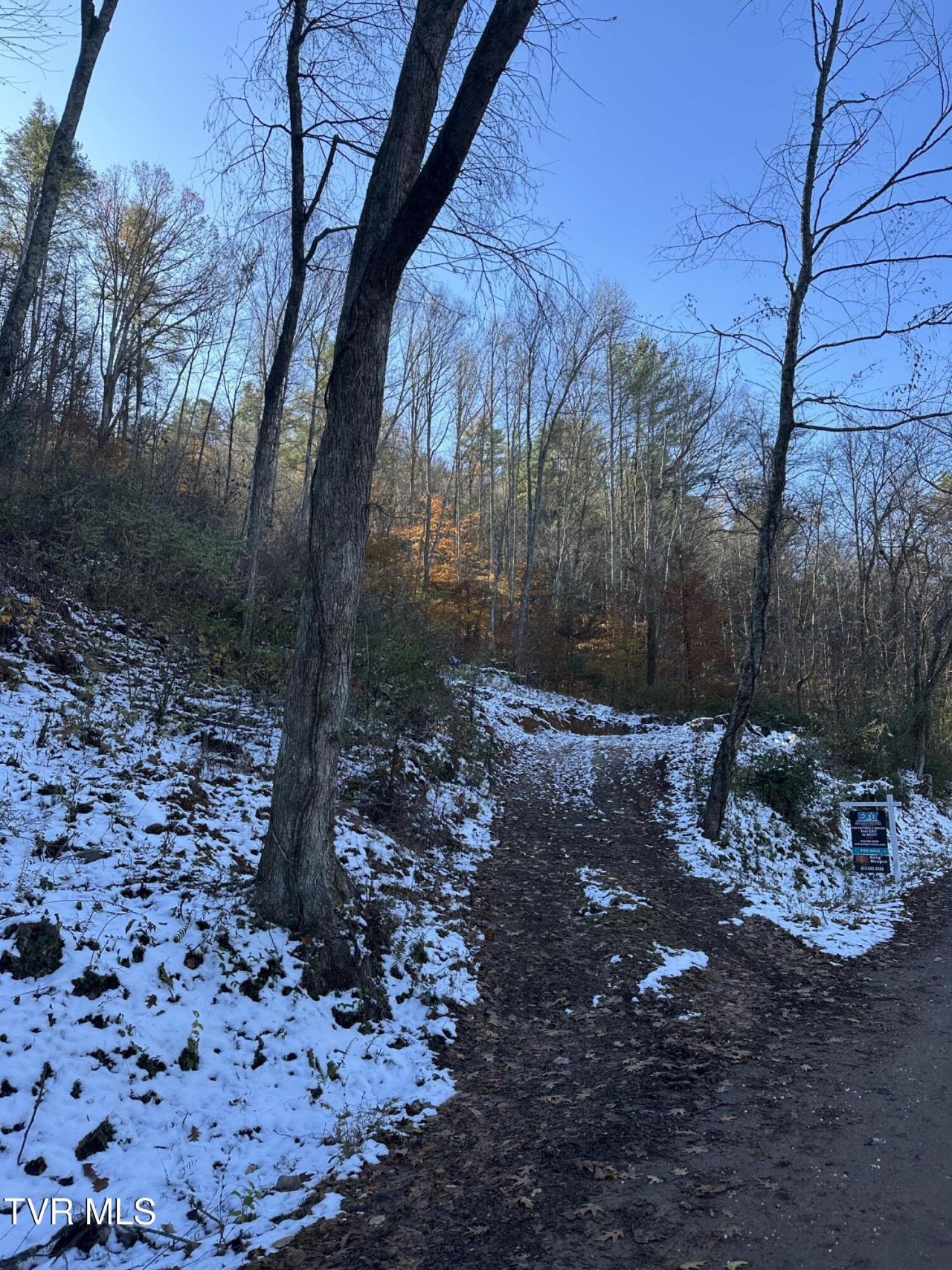 Tbd Old Hwy Road, Erwin, TN 37650 Main Photo