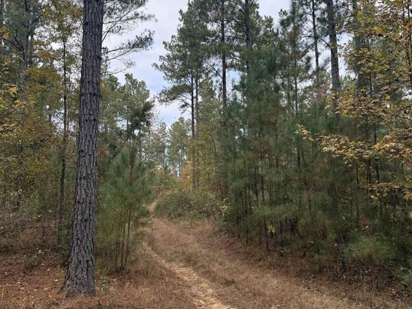 TBD Hitt Road, Murfreesboro, AR 71958