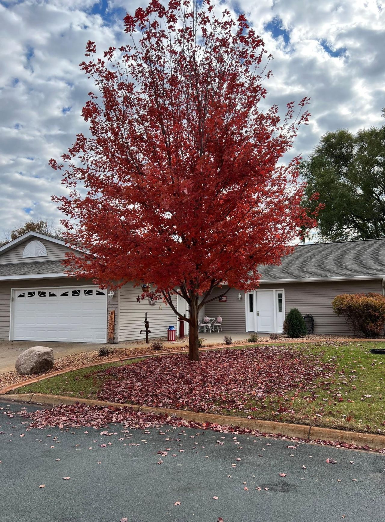 637 Norwood Lane, Big Lake, MN 55309 Main Photo