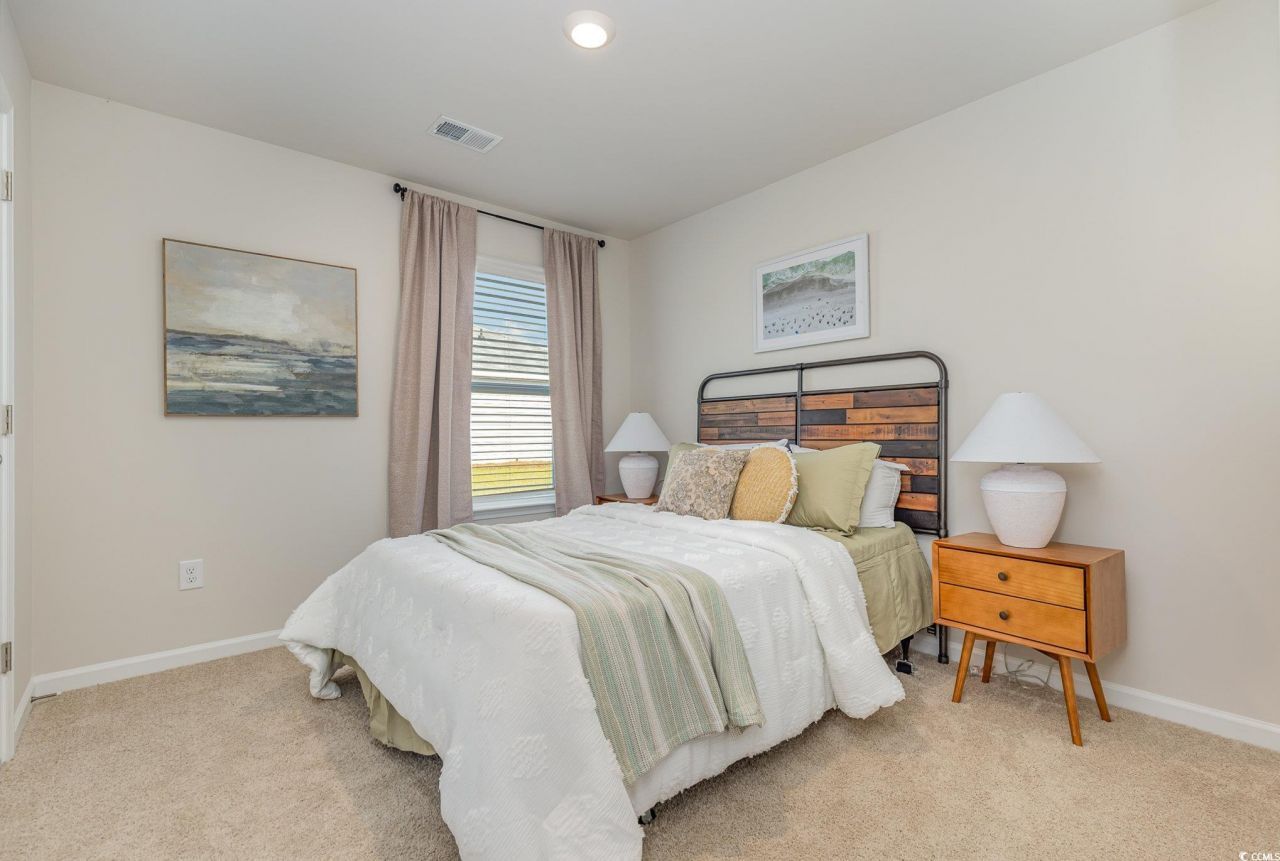 284 Long Beard Way Photo 21