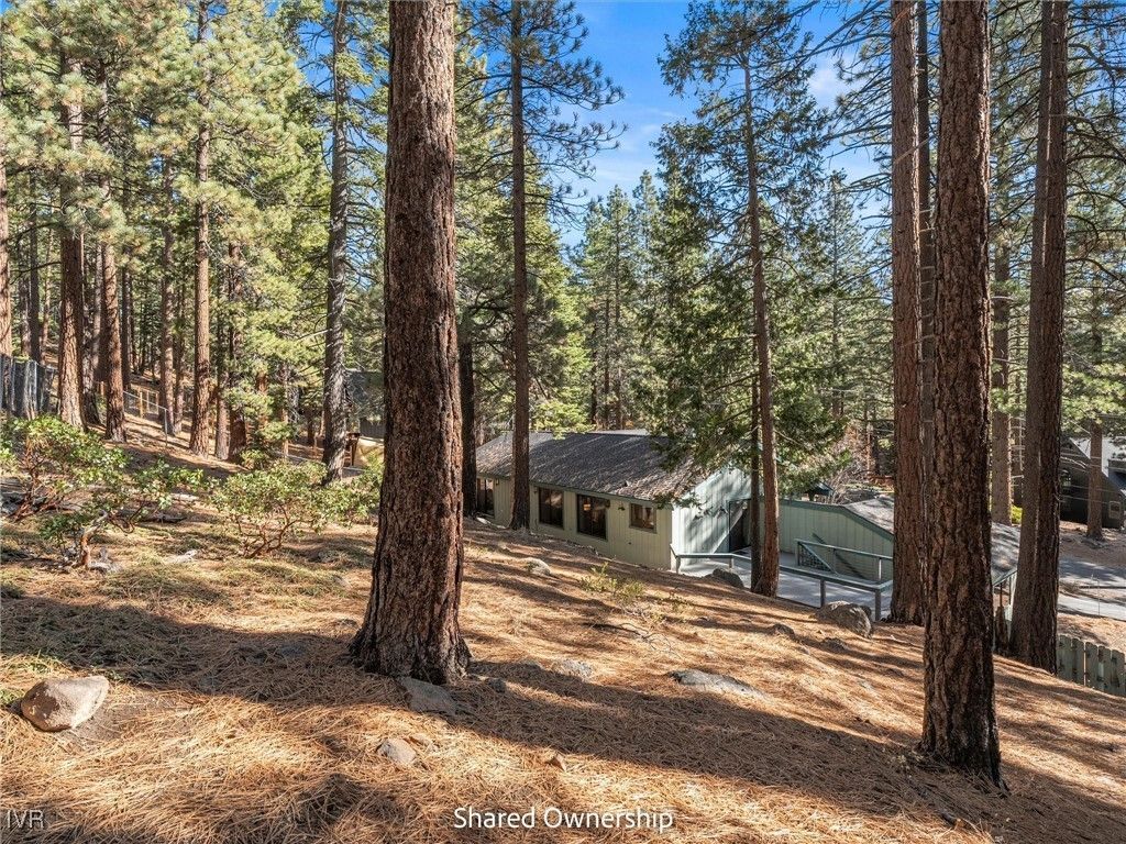 517 Lucille Drive, Incline Village, NV 89451 Photo