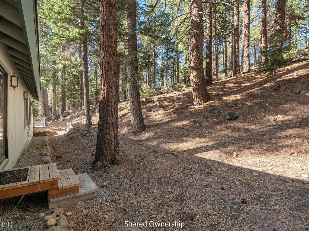 517 Lucille Drive, Incline Village, NV 89451 Photo