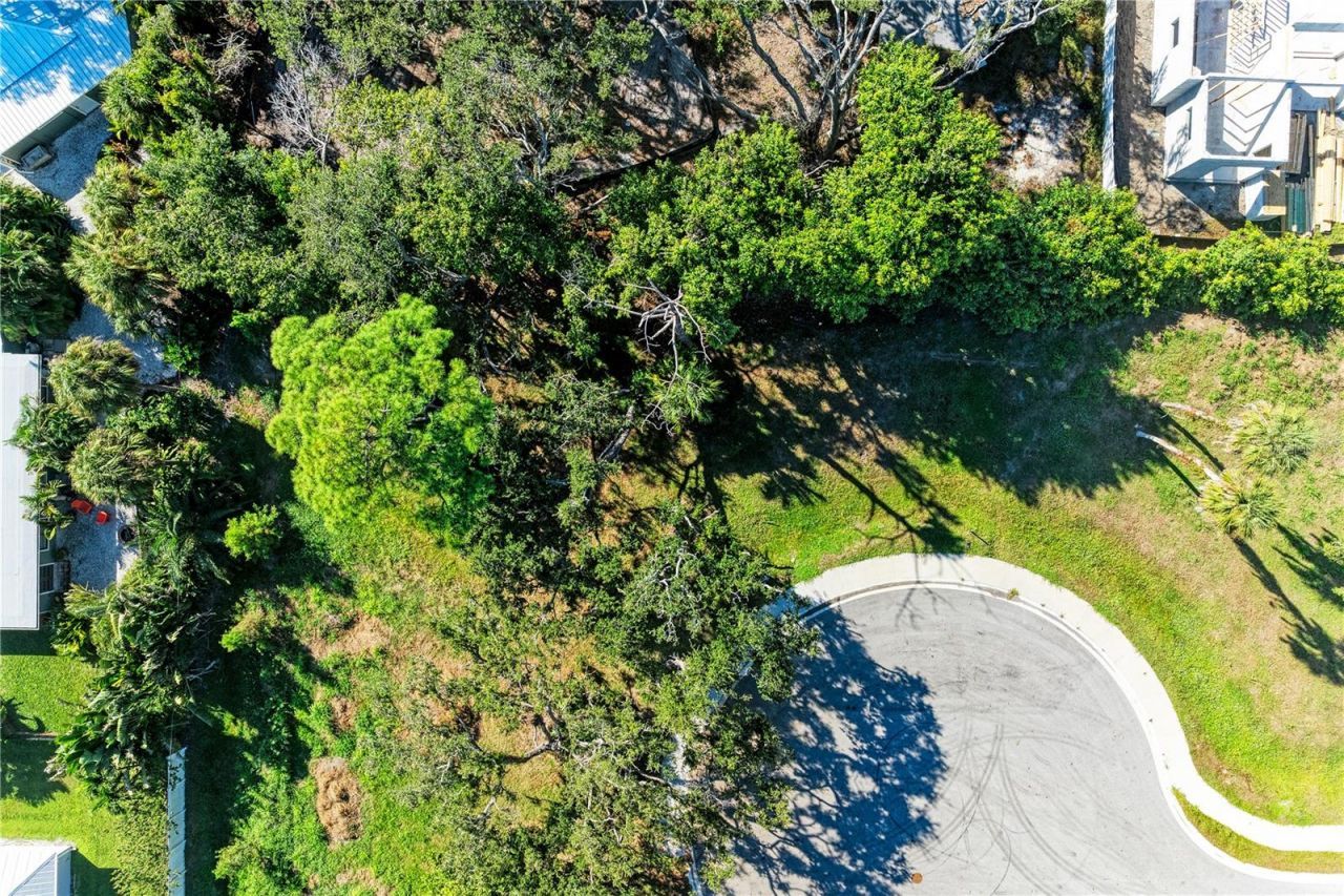 3 Datura Street, Sarasota, FL 34239 Photo