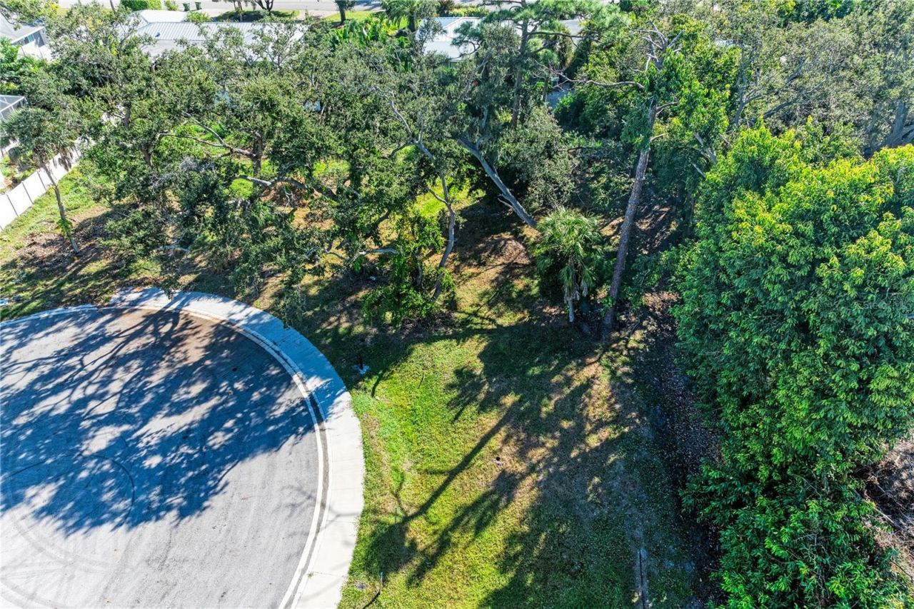 3 Datura Street, Sarasota, FL 34239 Photo