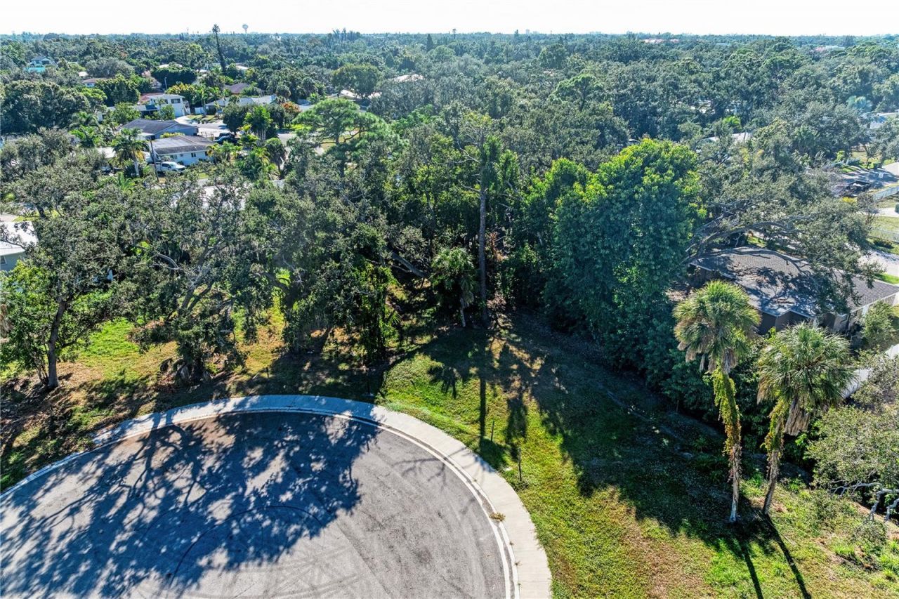 3 Datura Street, Sarasota, FL 34239 Photo