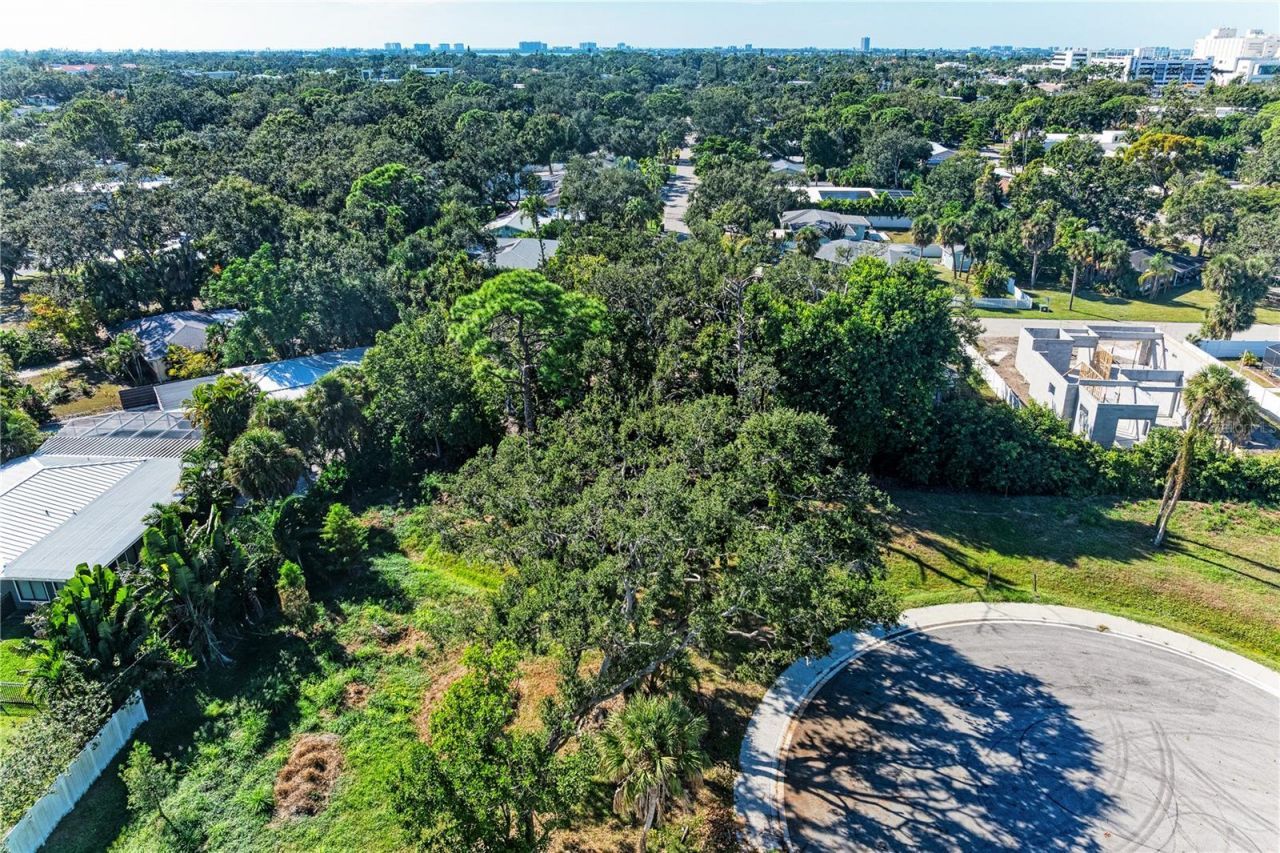 3 Datura Street, Sarasota, FL 34239 Photo