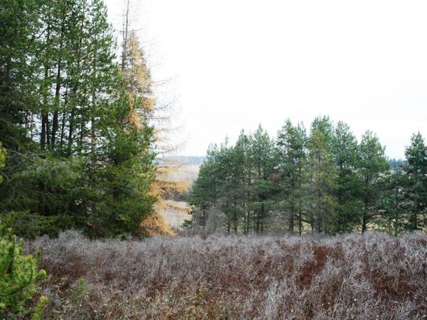 00 Dahl Lot 8 Rd, Deer Park, WA 99006