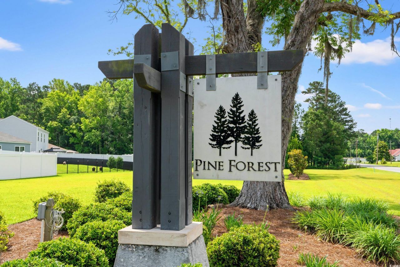 518 Sugar Pine Dr. Photo 31