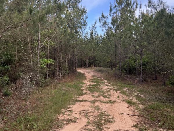 Co Rd 230, Shubuta, MS 39360