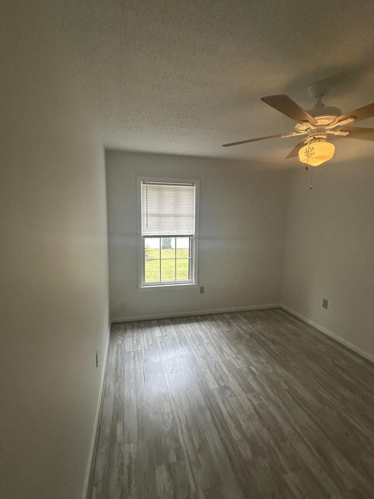 7744 Rosin Drive Photo 17