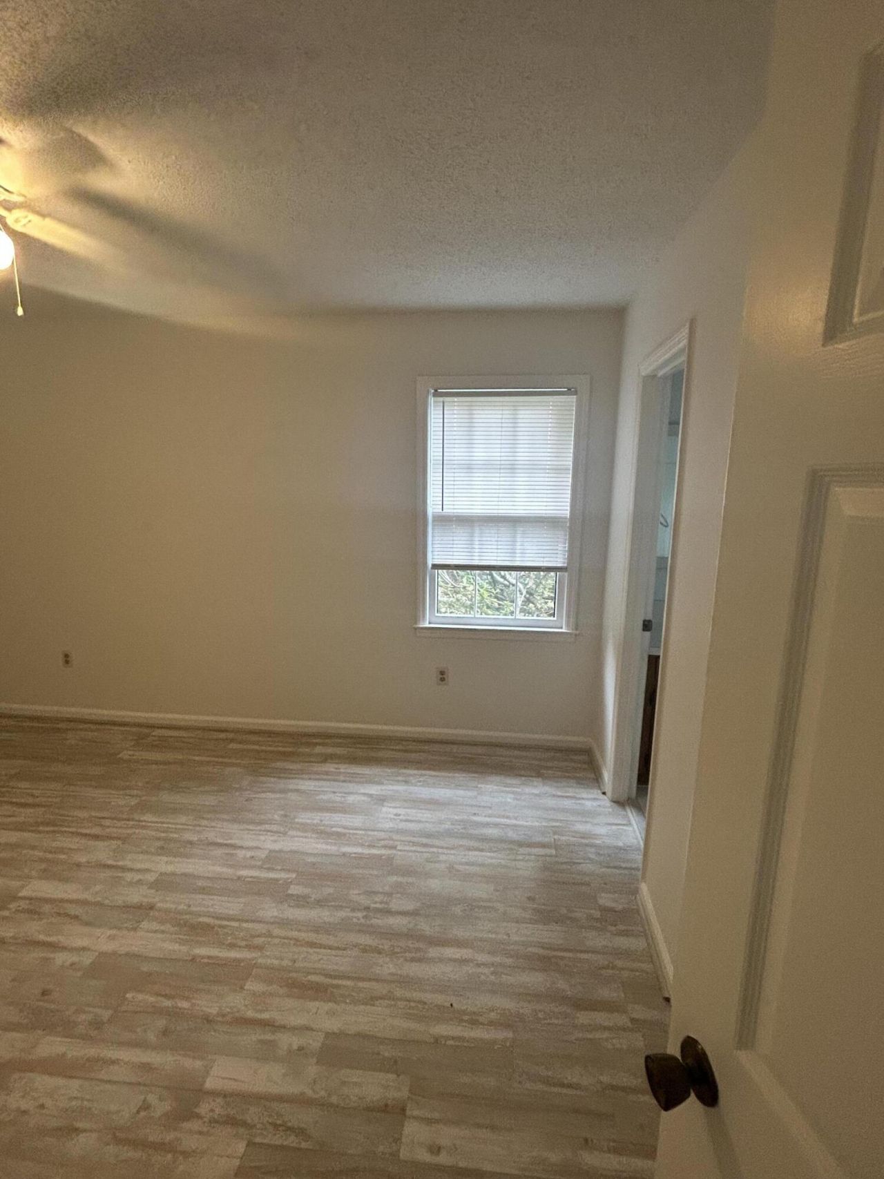 7744 Rosin Drive Photo 19