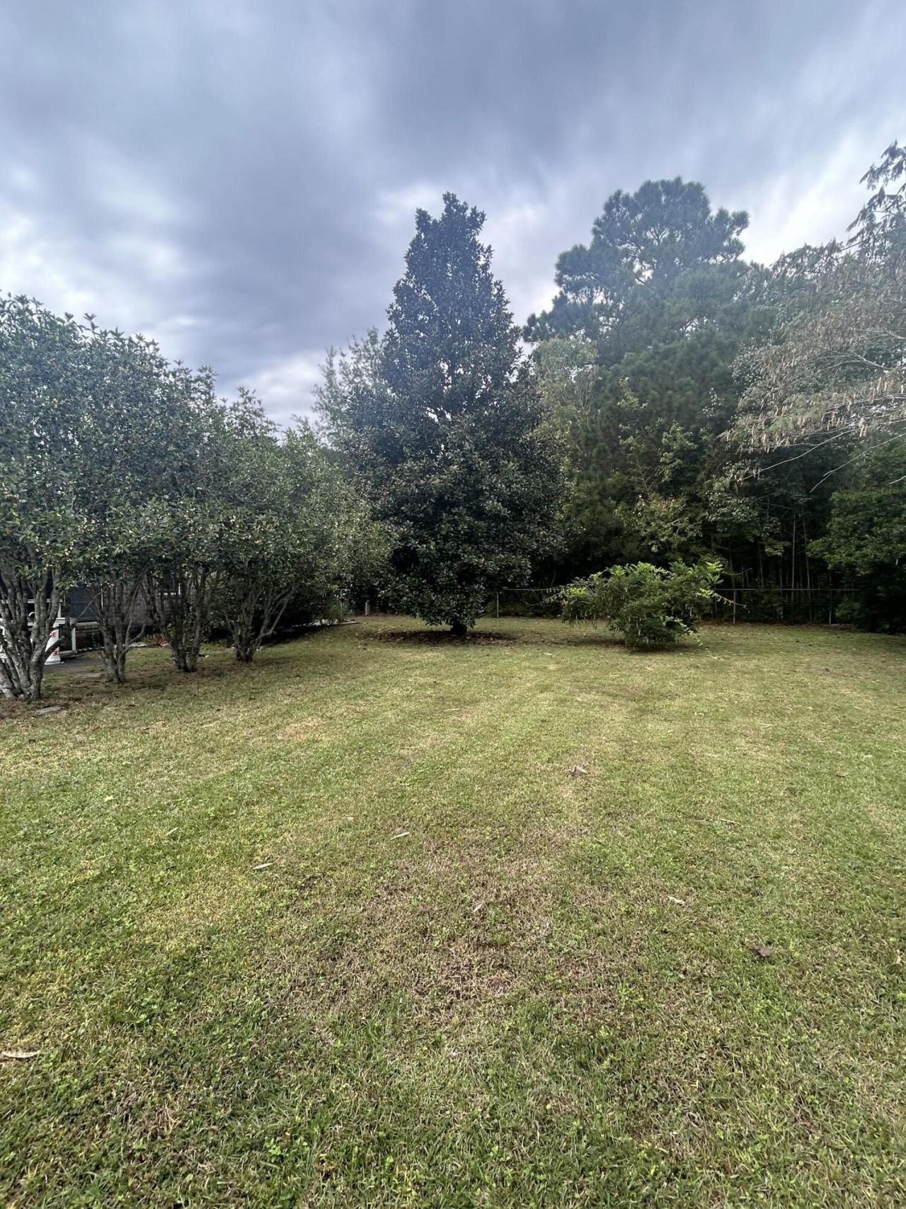 7744 Rosin Drive Photo 29