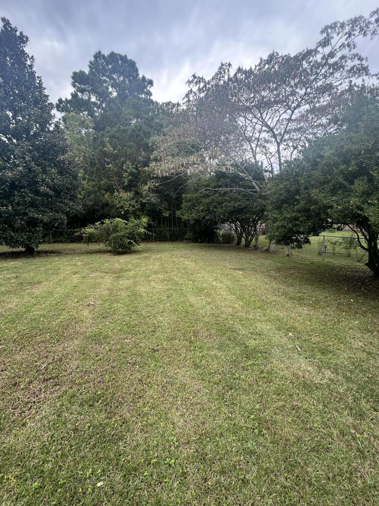 7744 Rosin Drive Photo 30