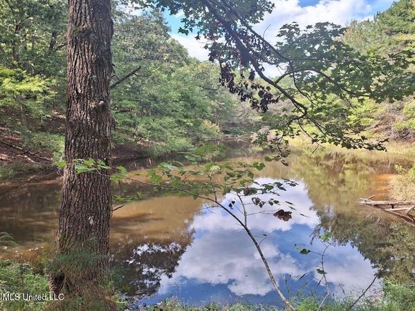 1788 County Road, Water Valley, MS 38965