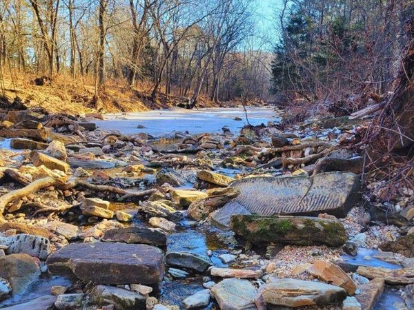 000 County Rd 247, Vanzant, MO 65768