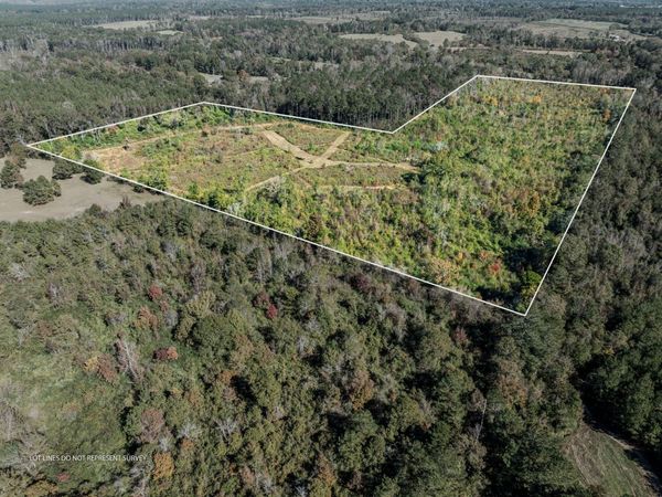 00 Lindsey, Mount Olive, MS 39119