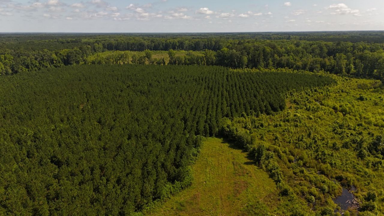 0 Palmetto Sands Road Photo 1