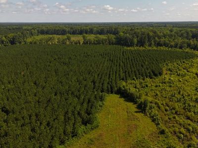 0 Palmetto Sands Road, Branchville, SC 29432