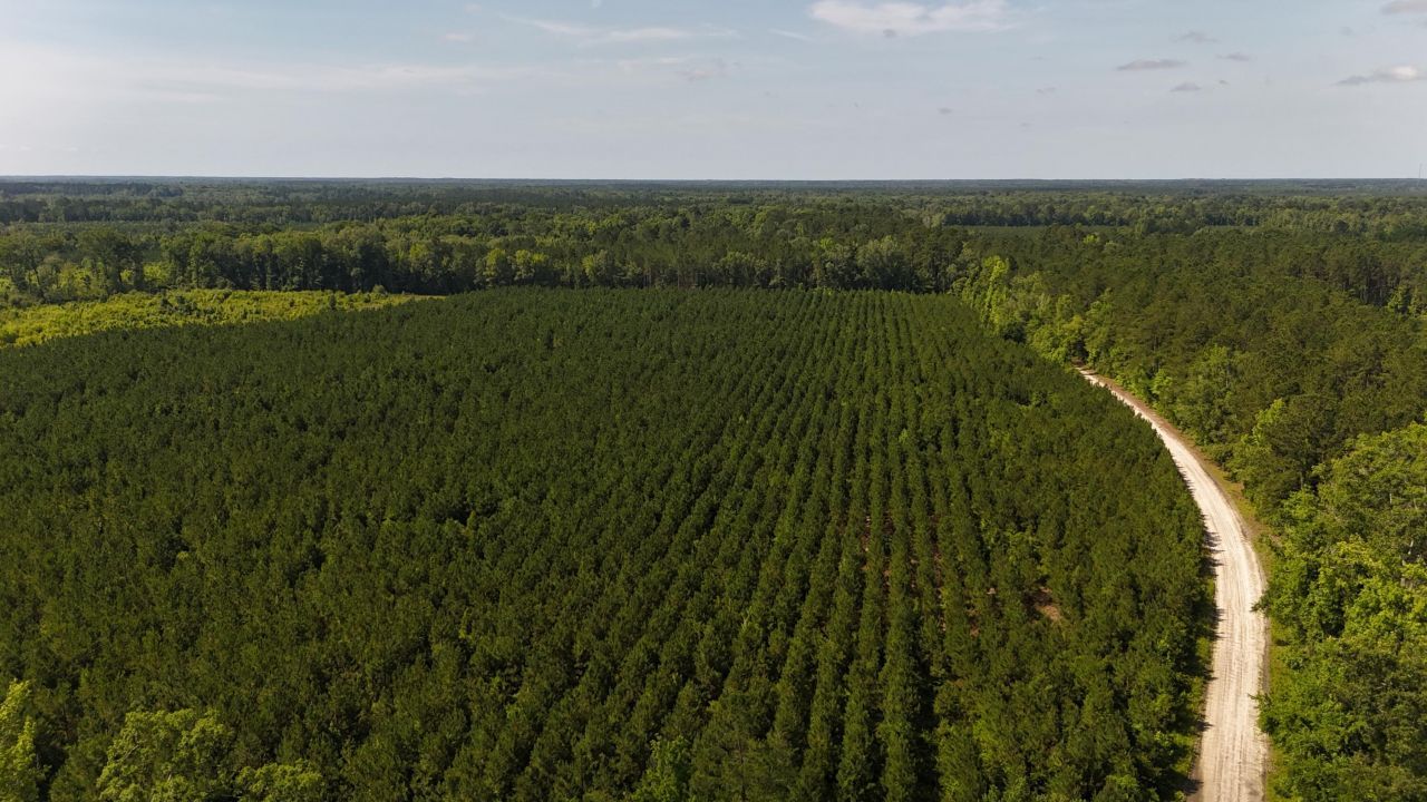 0 Palmetto Sands Road Photo 10