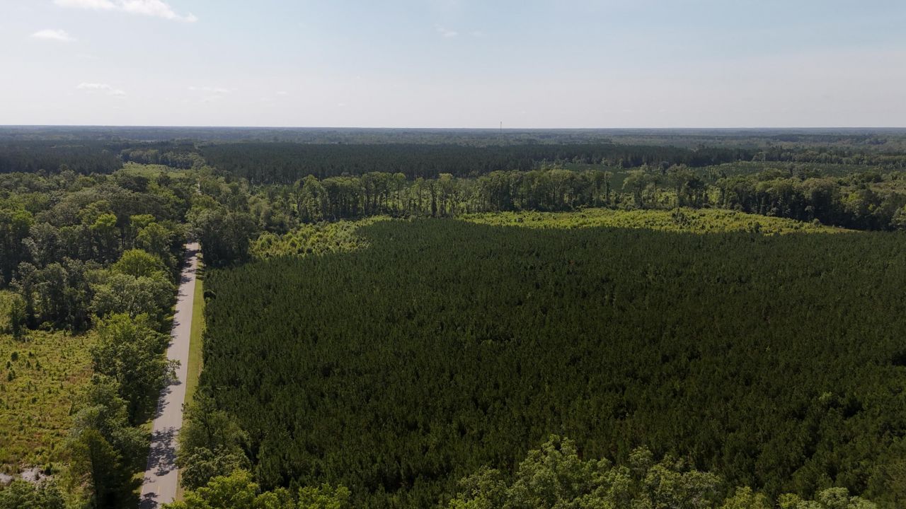 0 Palmetto Sands Road Photo 11