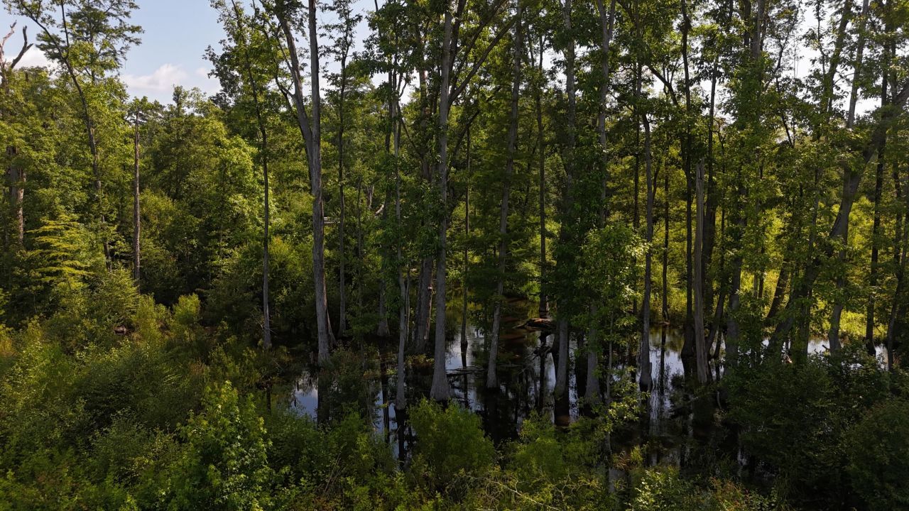 0 Palmetto Sands Road Photo 12