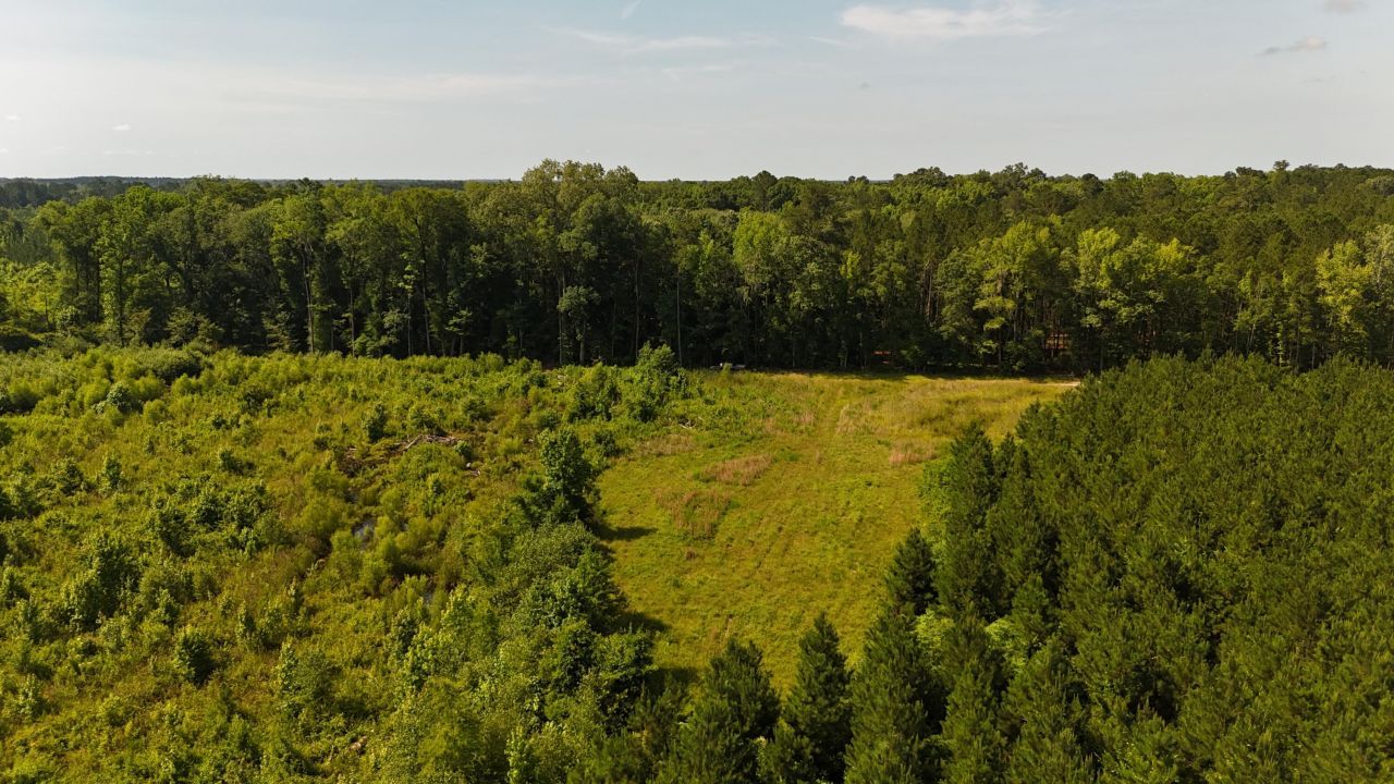 0 Palmetto Sands Road Photo 13