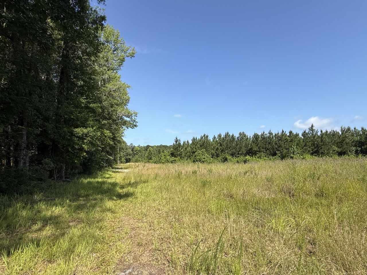 0 Palmetto Sands Road Photo 14