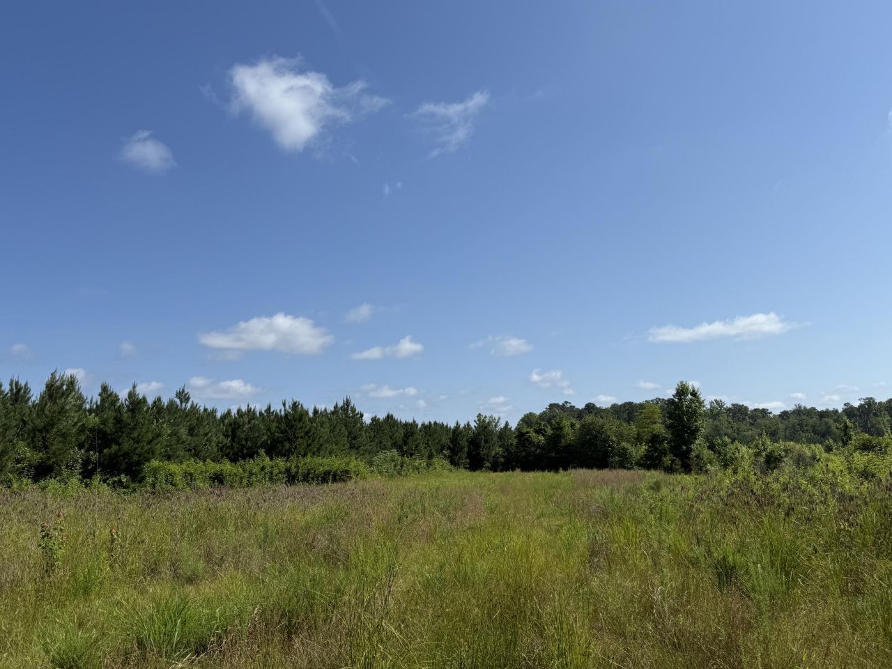 0 Palmetto Sands Road Photo 15