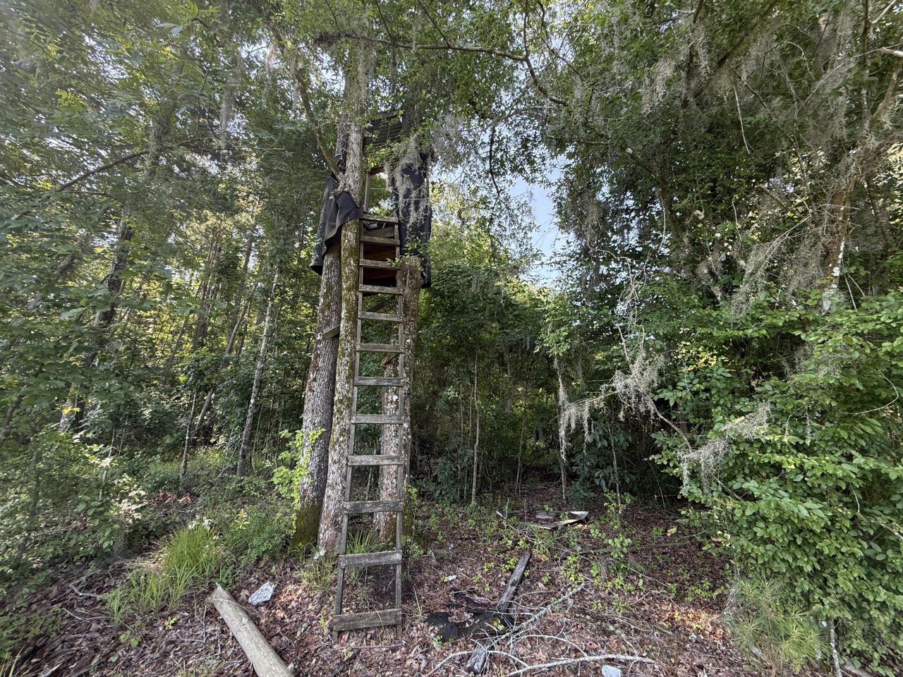 0 Palmetto Sands Road Photo 16