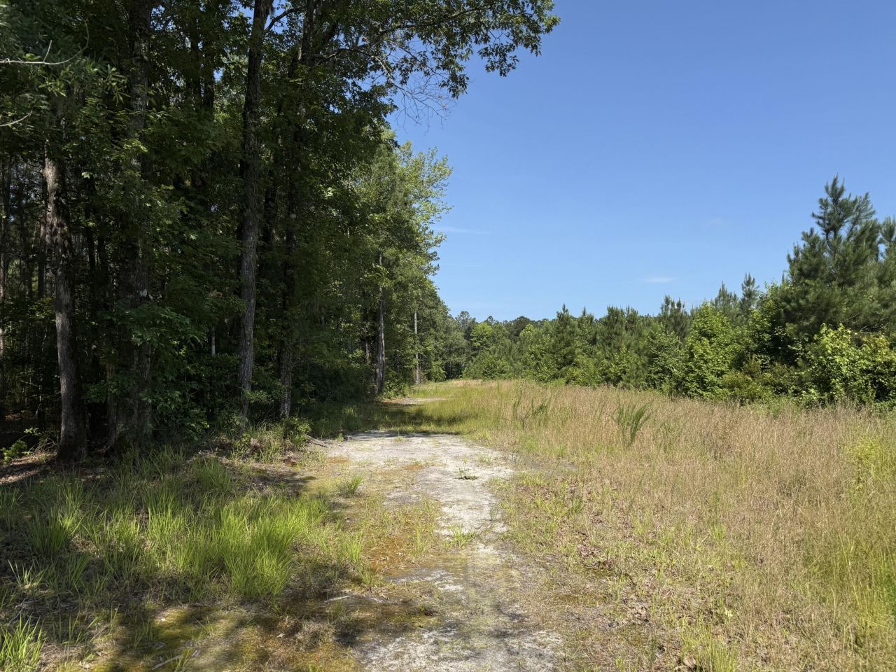 0 Palmetto Sands Road Photo 17