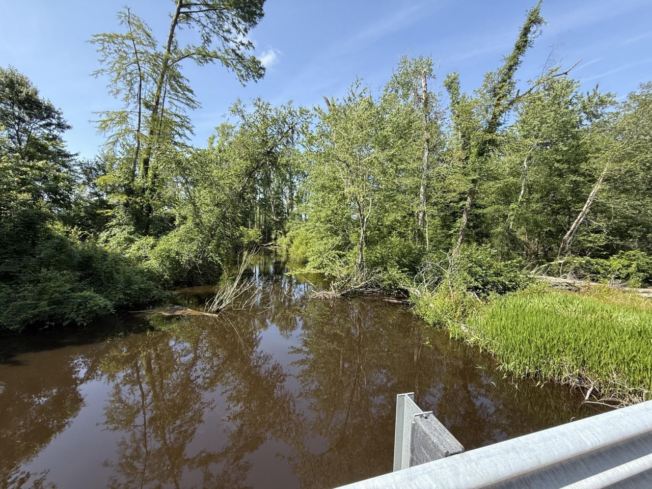 0 Palmetto Sands Road Photo 19