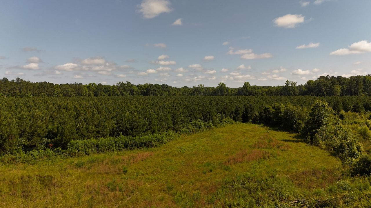 0 Palmetto Sands Road Photo 2