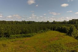 0 Palmetto Sands Road photo 4