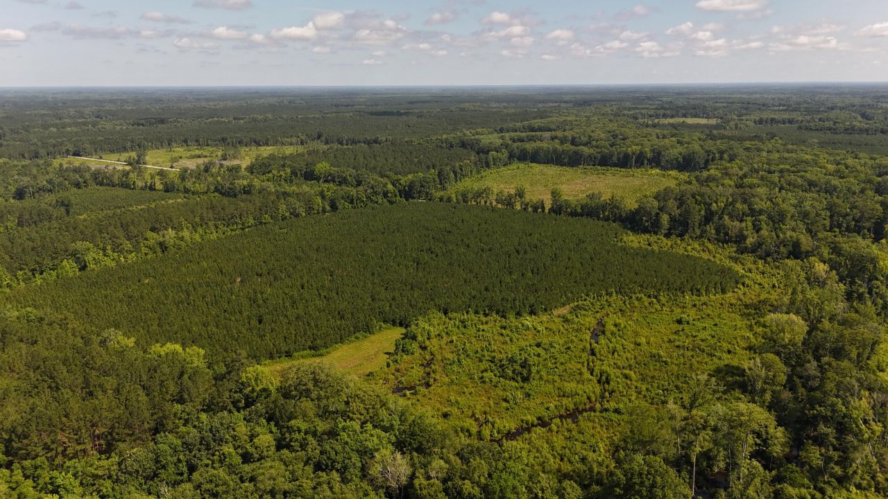 0 Palmetto Sands Road Photo 3