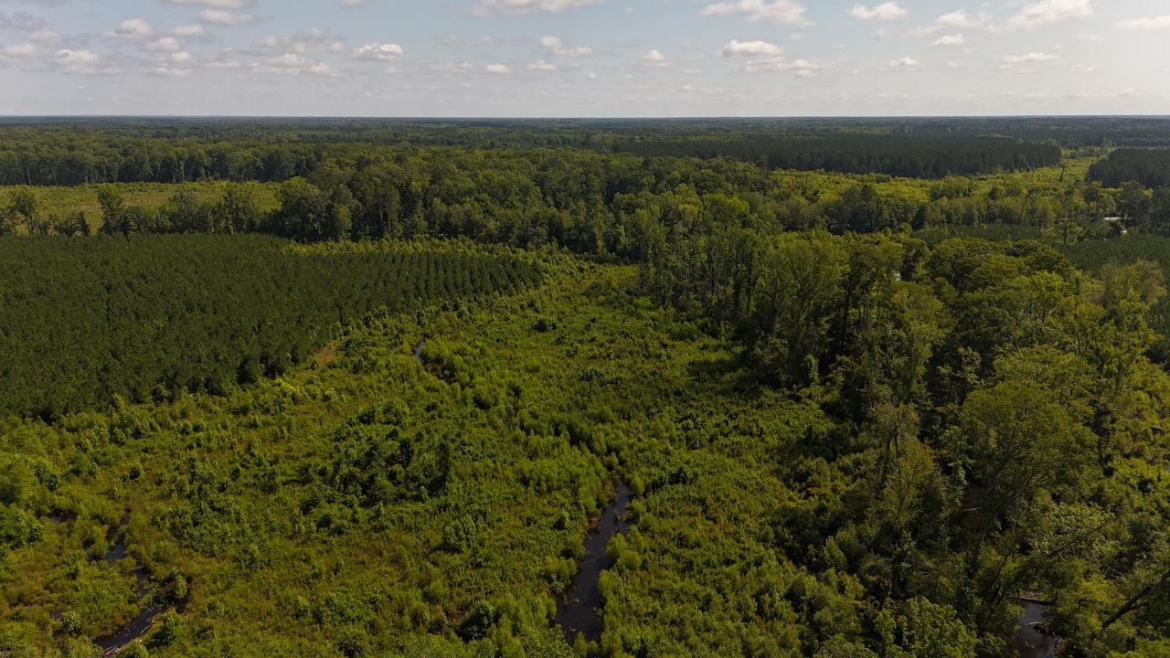 0 Palmetto Sands Road Photo 4