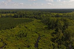 0 Palmetto Sands Road photo 4