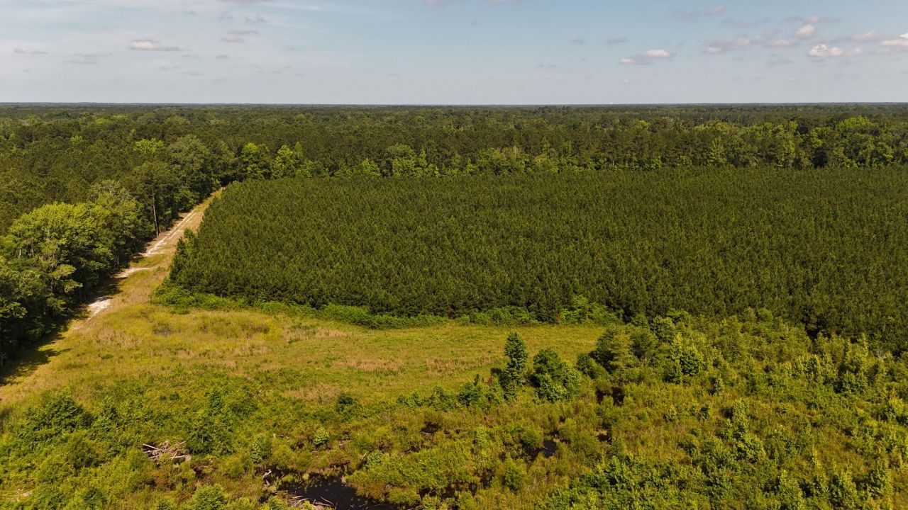 0 Palmetto Sands Road Photo 5