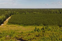 0 Palmetto Sands Road photo 4