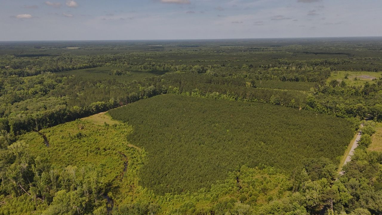 0 Palmetto Sands Road Photo 6