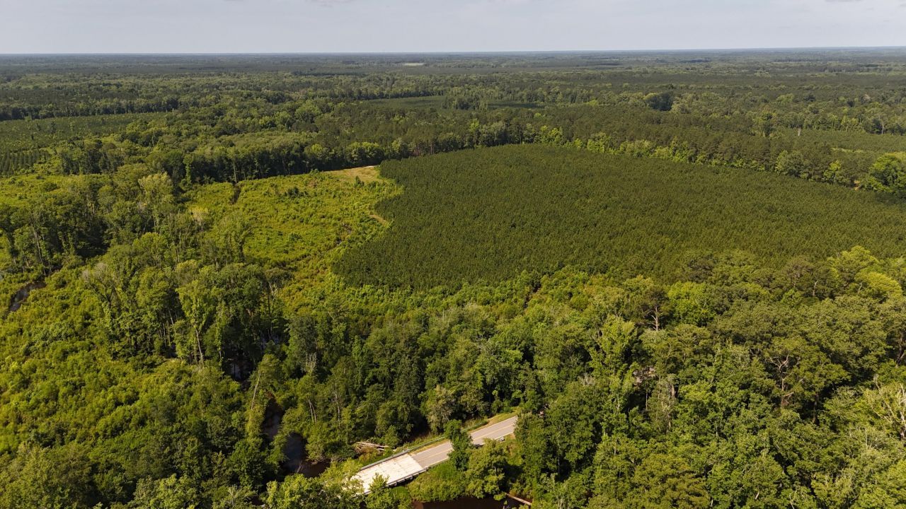 0 Palmetto Sands Road Photo 7