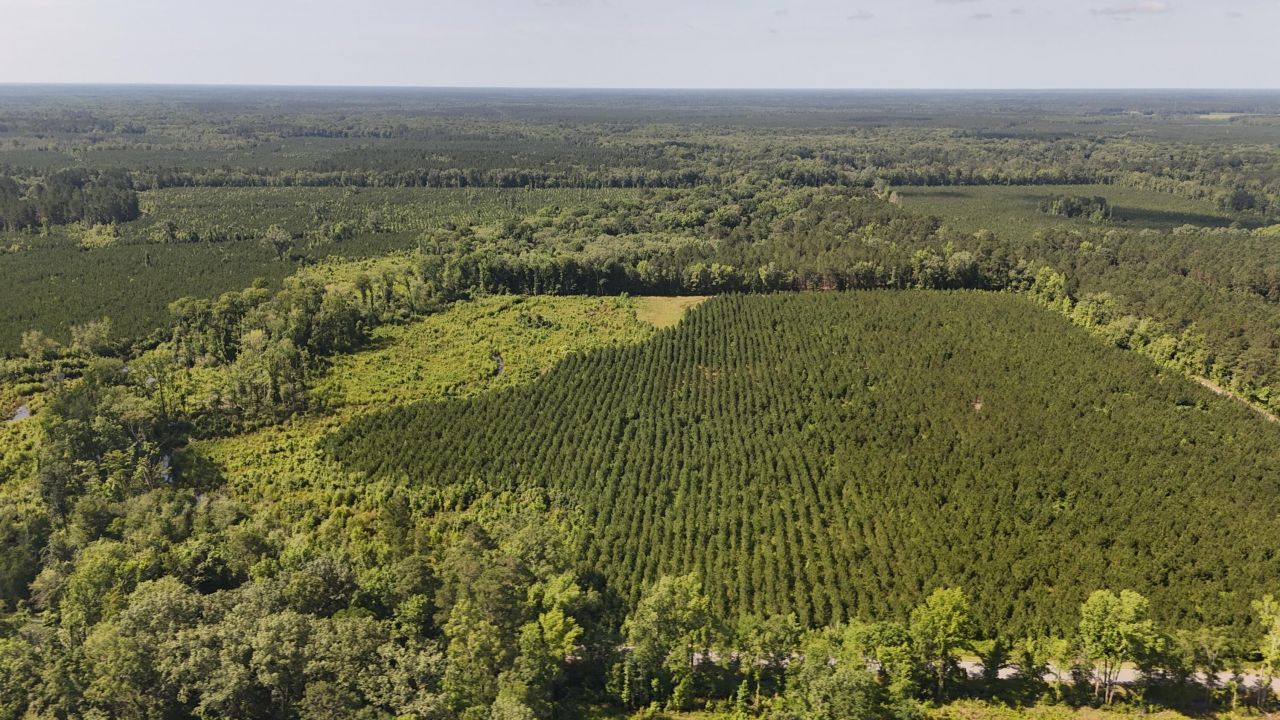 0 Palmetto Sands Road Photo 8