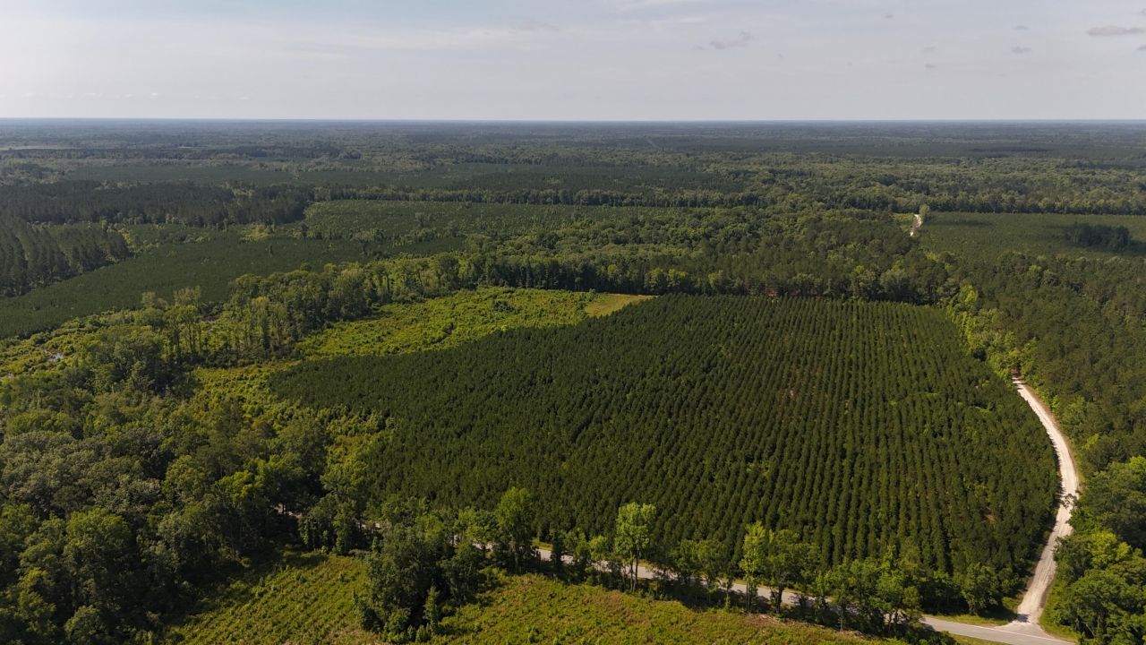 0 Palmetto Sands Road Photo 9