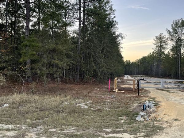 0 Shuffletown Road, Twin City, GA 30471