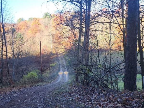 0 Reed Rd, Mayport, PA 16240