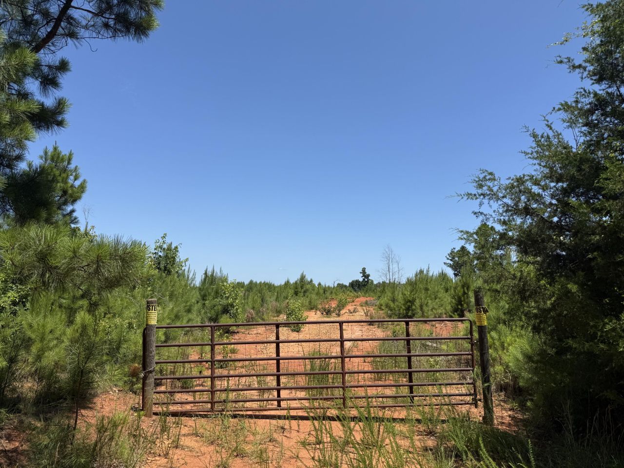 0 Halsellville Rd Road Photo 13